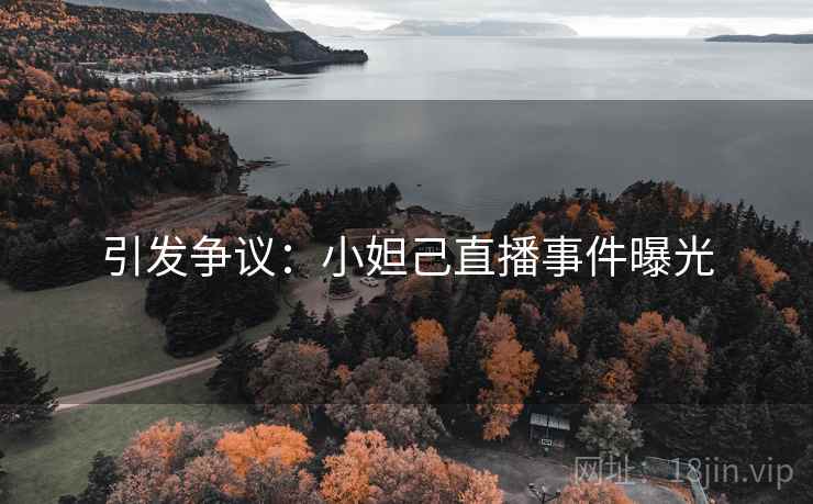 引发争议：小妲己直播事件曝光